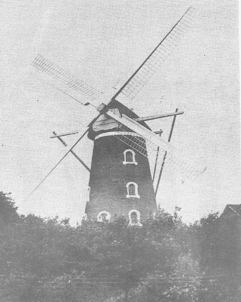 molen_reijnen_2.jpg