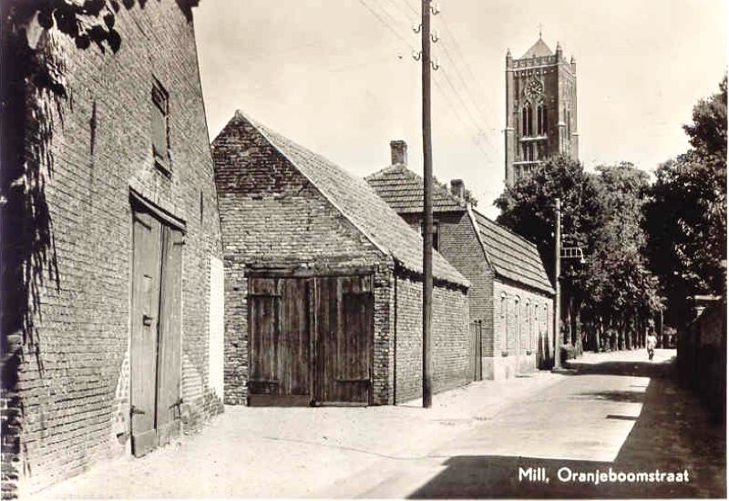 oranjeboomstraat_1949.jpg